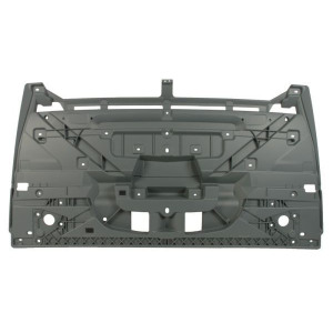 Radiator Grille PACOL DAF-FP-018