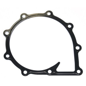 Gasket, water pump ELRING 021.250