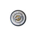 Thermostat, coolant NRF 725216