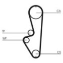 Timing Belt CONTINENTAL CTAM CT765