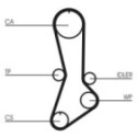 Timing Belt CONTINENTAL CTAM CT765