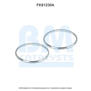 Mounting Kit, catalytic converter BM CATALYSTS FK91230