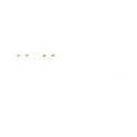 Bulb, interior light BOSCH 1 987 301 014