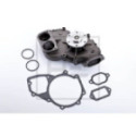 Water Pump, engine cooling PE Automotive 010.702-00A