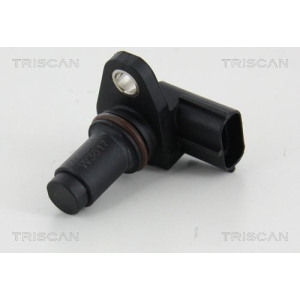 Andur,Nukkvõllipositsioon TRISCAN 8855 17110
