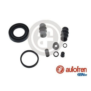 Repair Kit, brake caliper AUTOFREN SEINSA D41356