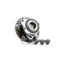Комплект подшипника ступицы колеса SKF VKBA 6667