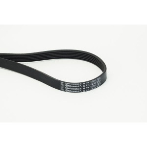 V-Ribbed Belt CONTINENTAL CTAM 6PK1230
