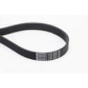 V-Ribbed Belt CONTINENTAL CTAM 8PK2035
