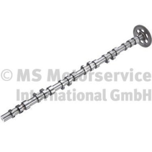 Camshaft BF 20100347104