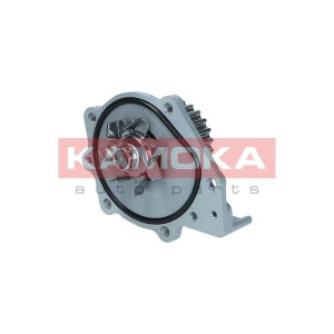 Water Pump, engine cooling KAMOKA T0174