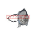 Water Pump, engine cooling KAMOKA T0193