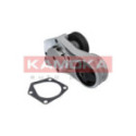 Water Pump, engine cooling KAMOKA T0193