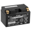 Стартерная аккумуляторная батарея YUASA YTZ10S