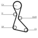 Timing Belt CONTINENTAL CTAM CT684
