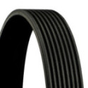 V-Ribbed Belt CONTINENTAL CTAM 8PK1920