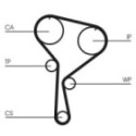 Hammasrihm CONTINENTAL CTAM CT1035