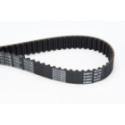 Timing Belt CONTINENTAL CTAM CT1138