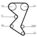 Hammasrihm CONTINENTAL CTAM CT1138