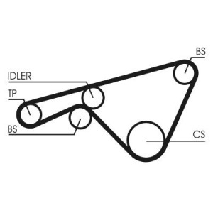 Timing Belt CONTINENTAL CTAM CT925