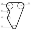 Hammasrihm CONTINENTAL CTAM CT974