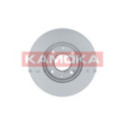 Brake Disc KAMOKA 103221