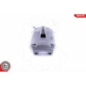 Jarrusatula ESEN SKV 55SKV333