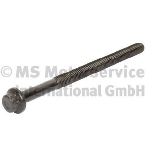 Cylinder Head Bolt BF 20080393608