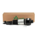 Air Suspension Strut Arnott AS-2301