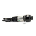 Air Suspension Strut Arnott AS-2301
