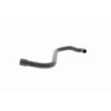 Hose, cylinder head cover ventilation VAICO V20-2080