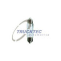 Polttimo, sisävalo TRUCKTEC AUTOMOTIVE 88.58.011