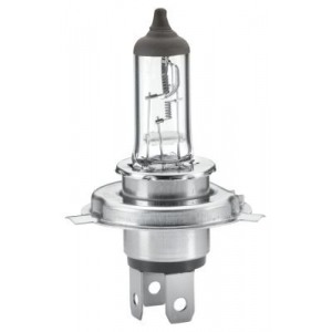 Bulb HELLA 8GJ 002 525-251