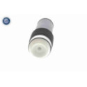 Rubber Buffer, suspension VAICO V24-0518