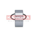 Wheel Bearing Kit KAMOKA 5600112