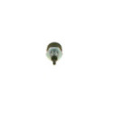 Sensor, intake air temperature BOSCH 0 281 002 046