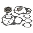 Repair Kit, water pump THERMOTEC WP-MN118RK