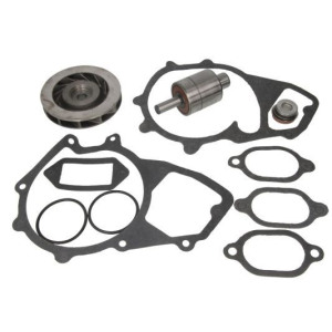 Repair Kit, water pump THERMOTEC WP-MN118RK
