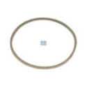 Seal Ring, wheel hub DT Spare Parts 1.17007