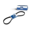 Banded V-Belts DT Spare Parts 3.34202