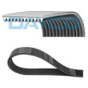 V-Ribbed Belt DAYCO 12PK1814HD