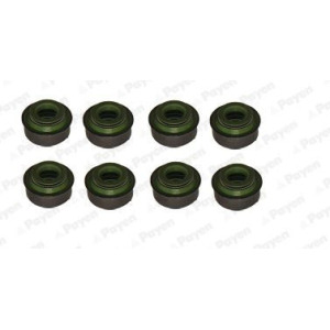 Seal Set, valve stem PAYEN HR655