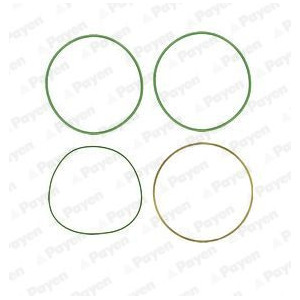 Gasket Set, cylinder liner PAYEN HT018