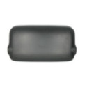 Exterior Mirror PACOL MAN-MR-029