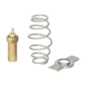 Seal, thermostat THERMOTEC D2IV006TT