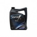 Mootoriõli WOLF 10W60 5L 8335808