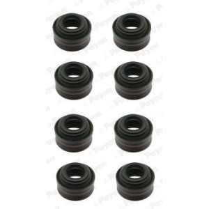Seal Set, valve stem PAYEN HR801
