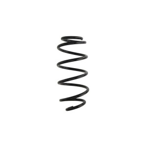 Suspension Spring Magnum Technology SS031MT