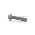 Bolt, brake disc AUGER 77251