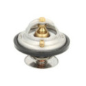 Thermostat, coolant THERMOTEC D2MA005TT